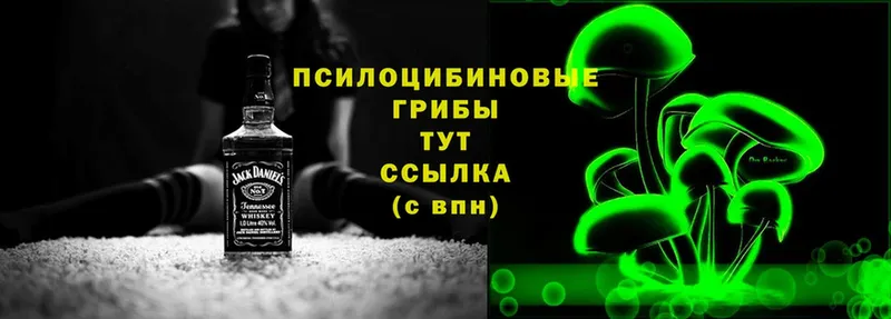 blacksprut зеркало  что такое наркотик  Курлово  Галлюциногенные грибы Magic Shrooms 